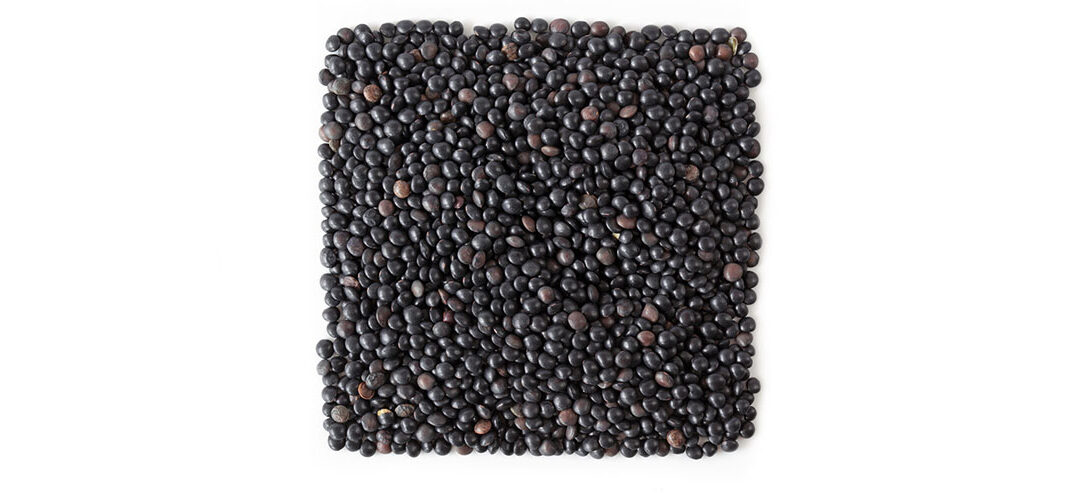 BLACK BELUGA LENTILS