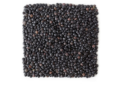 BLACK BELUGA LENTILS