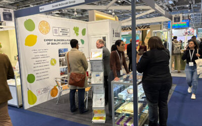 IFE Manufacturing 2026