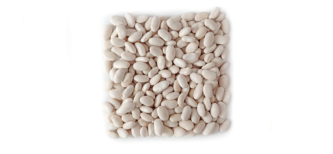 WHITE BEANS